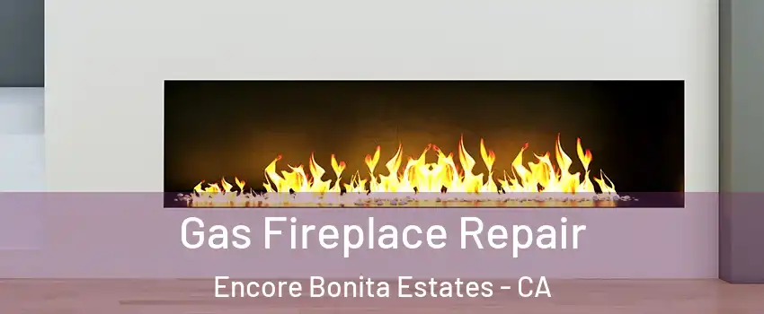 Gas Fireplace Repair Encore Bonita Estates - CA