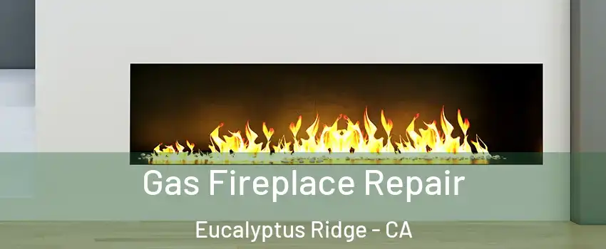 Gas Fireplace Repair Eucalyptus Ridge - CA
