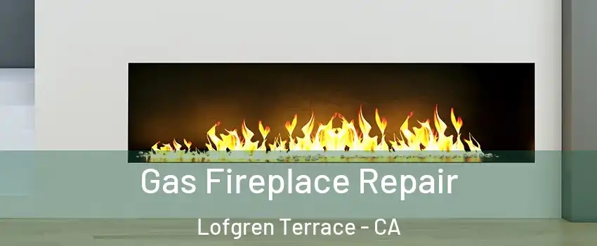 Gas Fireplace Repair Lofgren Terrace - CA
