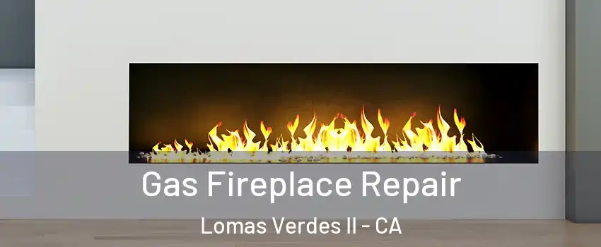 Gas Fireplace Repair Lomas Verdes II - CA