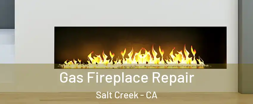 Gas Fireplace Repair Salt Creek - CA