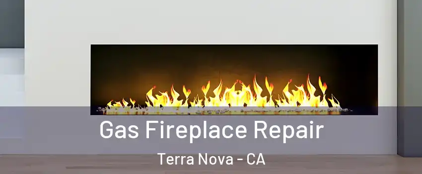 Gas Fireplace Repair Terra Nova - CA