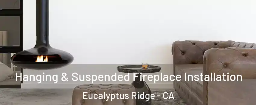 Hanging & Suspended Fireplace Installation Eucalyptus Ridge - CA
