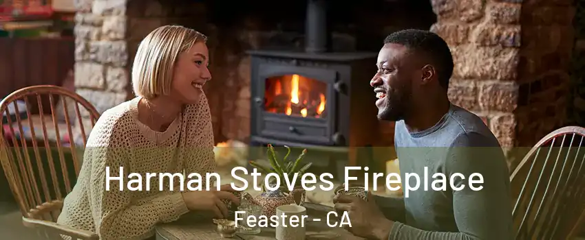 Harman Stoves Fireplace Feaster - CA