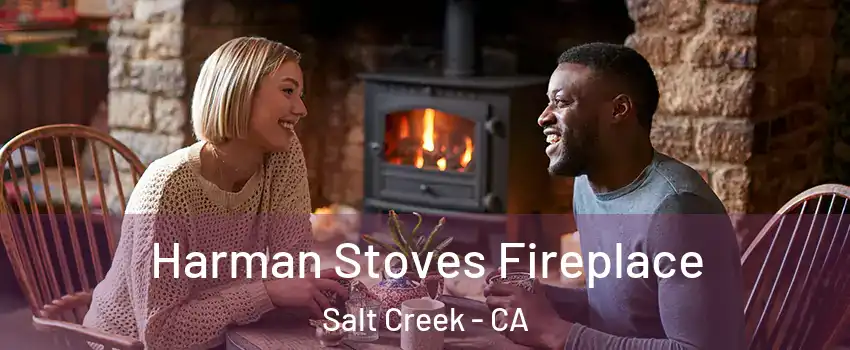 Harman Stoves Fireplace Salt Creek - CA