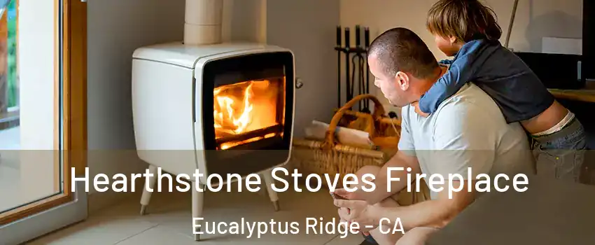 Hearthstone Stoves Fireplace Eucalyptus Ridge - CA