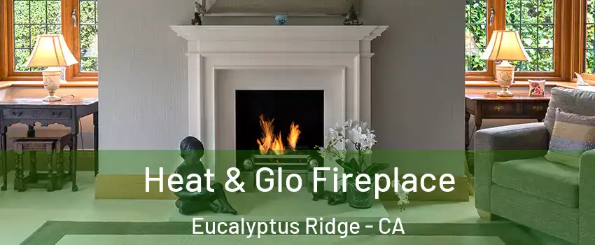 Heat & Glo Fireplace Eucalyptus Ridge - CA
