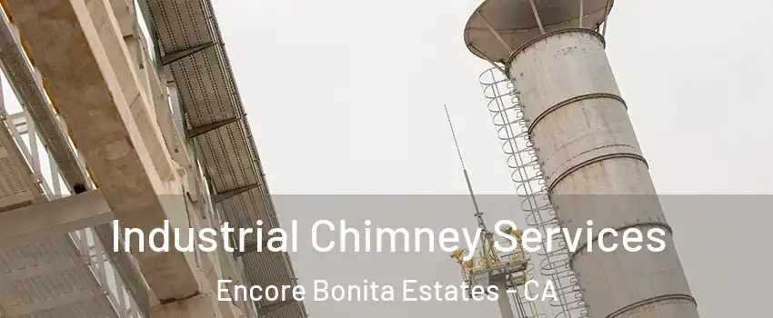 Industrial Chimney Services Encore Bonita Estates - CA