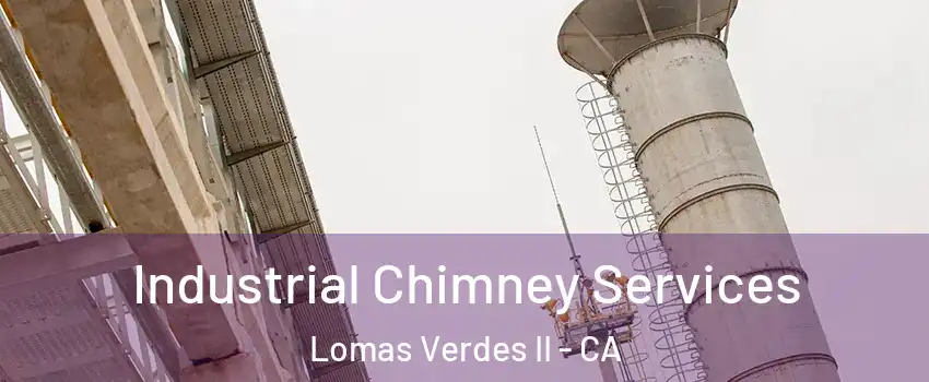 Industrial Chimney Services Lomas Verdes II - CA