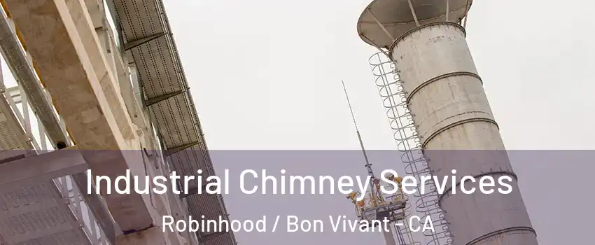 Industrial Chimney Services Robinhood / Bon Vivant - CA