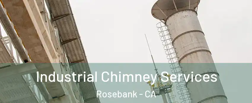 Industrial Chimney Services Rosebank - CA