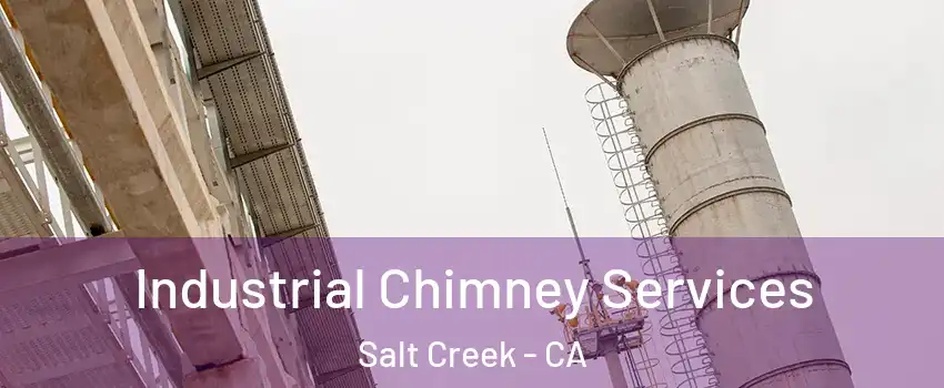 Industrial Chimney Services Salt Creek - CA