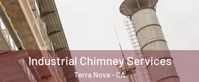 Industrial Chimney Services Terra Nova - CA