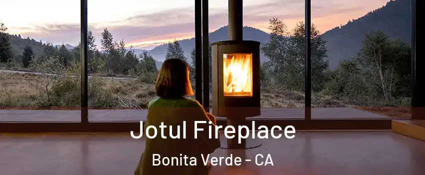 Jotul Fireplace Bonita Verde - CA