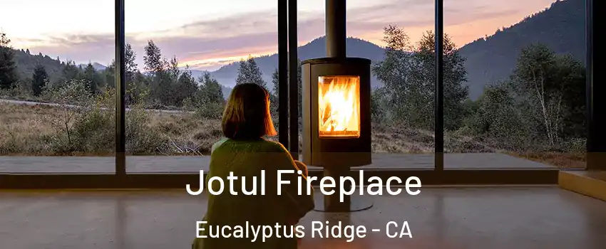 Jotul Fireplace Eucalyptus Ridge - CA
