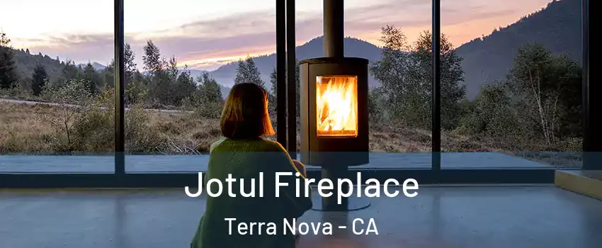 Jotul Fireplace Terra Nova - CA