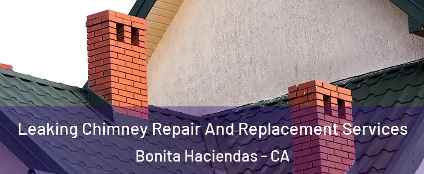 Leaking Chimney Repair And Replacement Services Bonita Haciendas - CA
