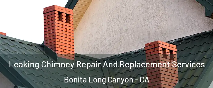 Leaking Chimney Repair And Replacement Services Bonita Long Canyon - CA