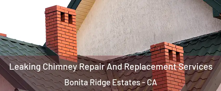 Leaking Chimney Repair And Replacement Services Bonita Ridge Estates - CA
