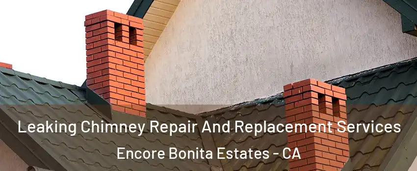 Leaking Chimney Repair And Replacement Services Encore Bonita Estates - CA