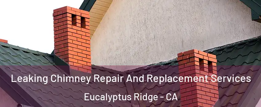 Leaking Chimney Repair And Replacement Services Eucalyptus Ridge - CA