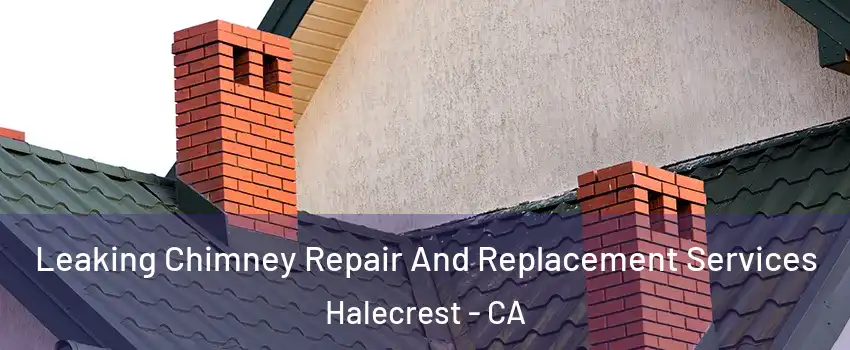 Leaking Chimney Repair And Replacement Services Halecrest - CA
