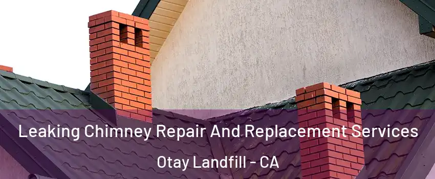 Leaking Chimney Repair And Replacement Services Otay Landfill - CA