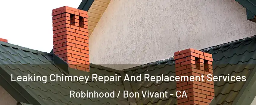 Leaking Chimney Repair And Replacement Services Robinhood / Bon Vivant - CA