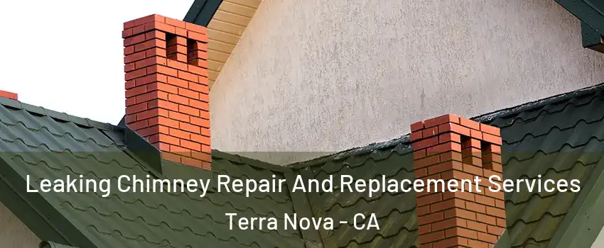 Leaking Chimney Repair And Replacement Services Terra Nova - CA