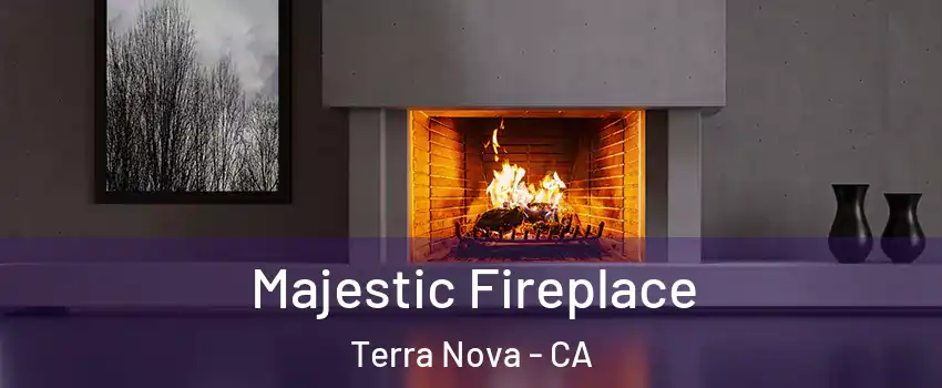 Majestic Fireplace Terra Nova - CA