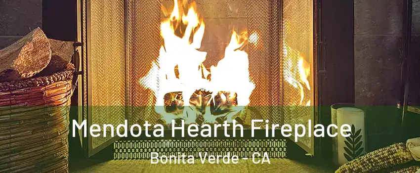 Mendota Hearth Fireplace Bonita Verde - CA