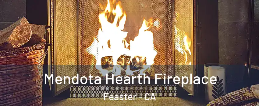 Mendota Hearth Fireplace Feaster - CA