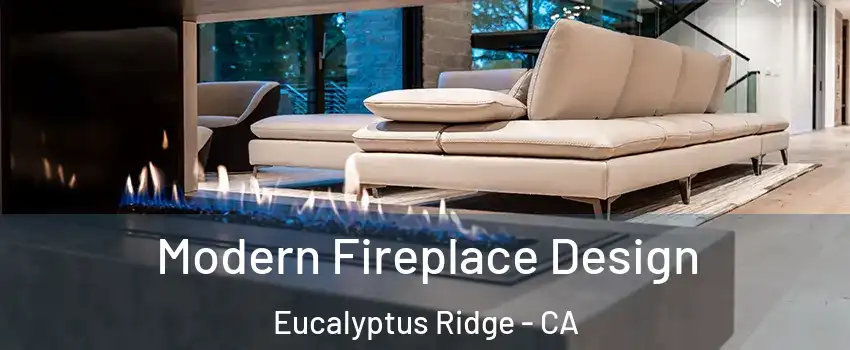 Modern Fireplace Design Eucalyptus Ridge - CA