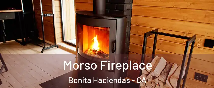 Morso Fireplace Bonita Haciendas - CA
