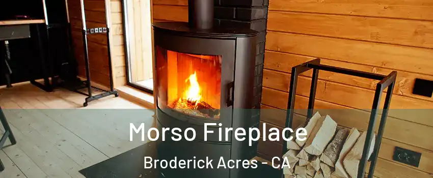 Morso Fireplace Broderick Acres - CA