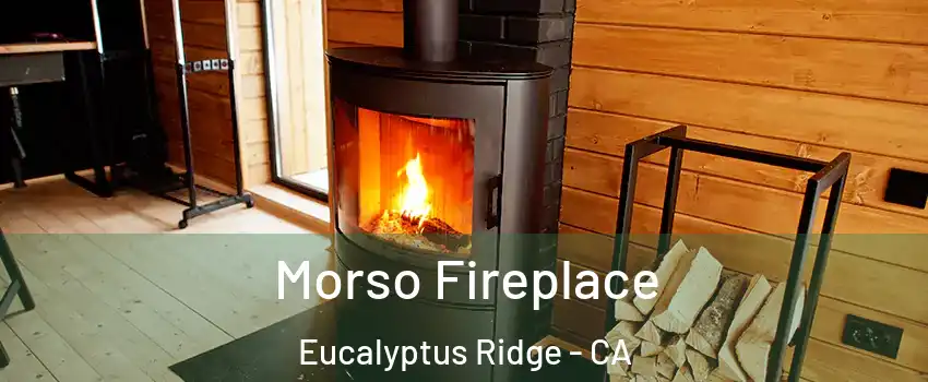 Morso Fireplace Eucalyptus Ridge - CA