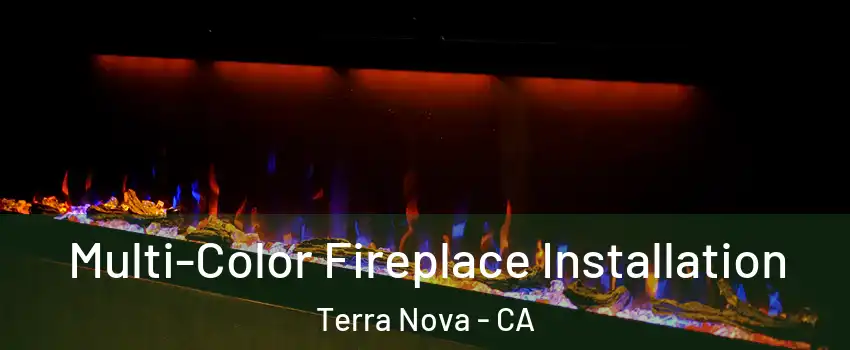 Multi-Color Fireplace Installation Terra Nova - CA
