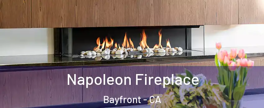 Napoleon Fireplace Bayfront - CA