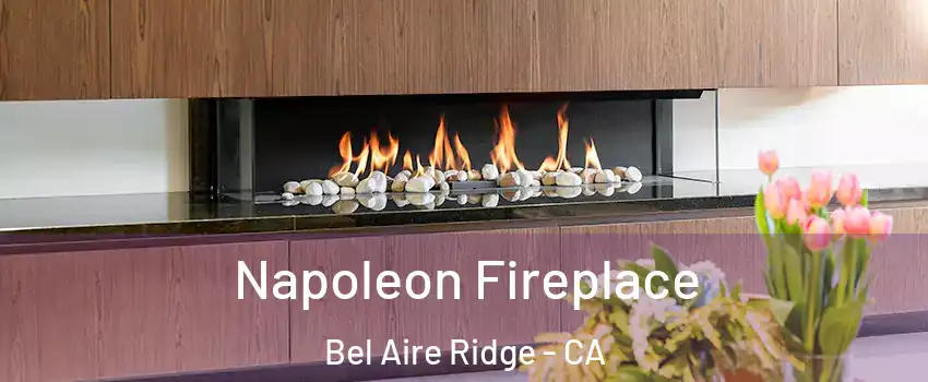 Napoleon Fireplace Bel Aire Ridge - CA