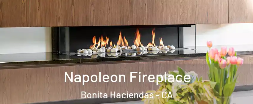 Napoleon Fireplace Bonita Haciendas - CA