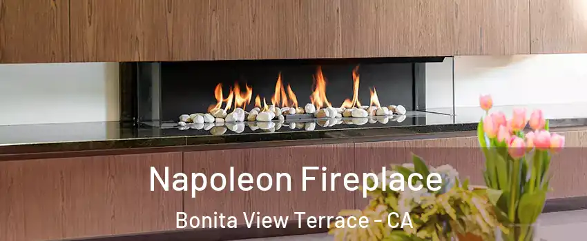 Napoleon Fireplace Bonita View Terrace - CA