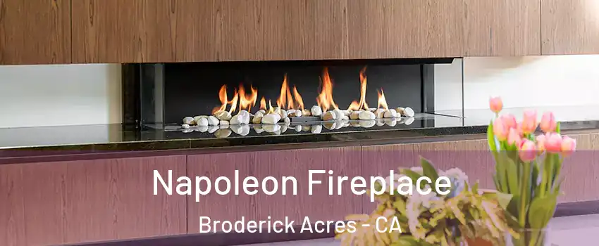 Napoleon Fireplace Broderick Acres - CA