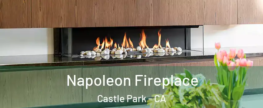 Napoleon Fireplace Castle Park - CA