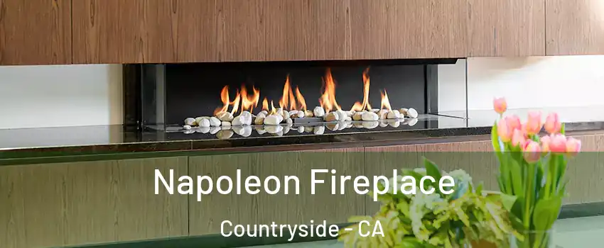 Napoleon Fireplace Countryside - CA
