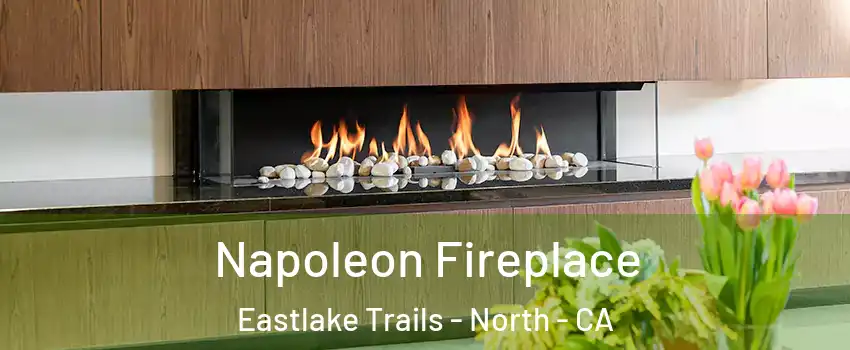 Napoleon Fireplace Eastlake Trails - North - CA