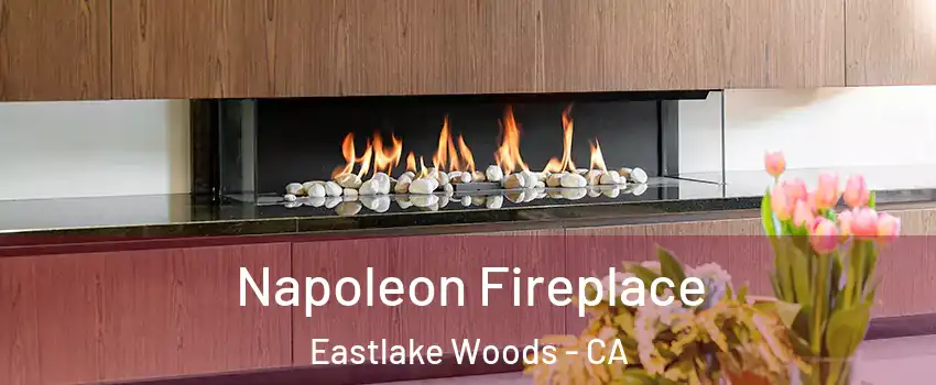 Napoleon Fireplace Eastlake Woods - CA