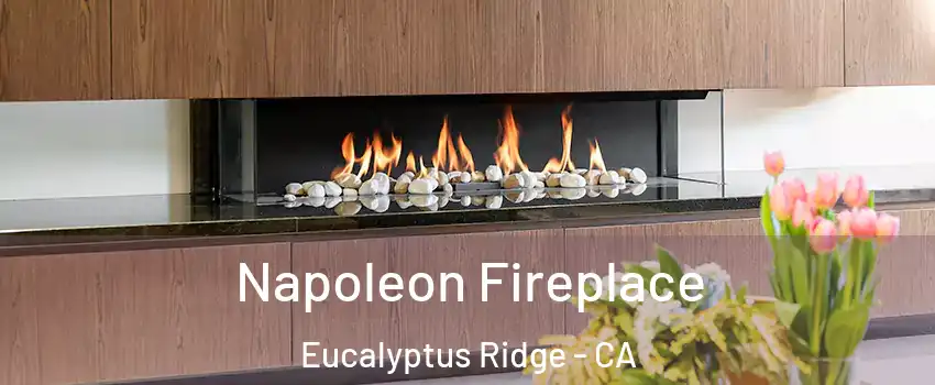 Napoleon Fireplace Eucalyptus Ridge - CA