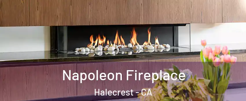 Napoleon Fireplace Halecrest - CA
