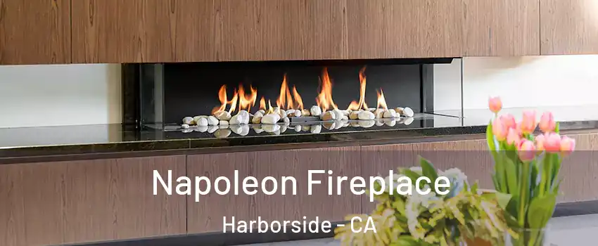Napoleon Fireplace Harborside - CA