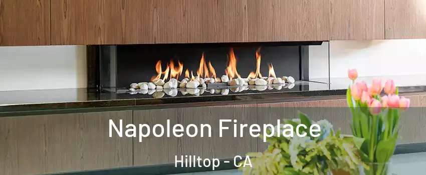 Napoleon Fireplace Hilltop - CA